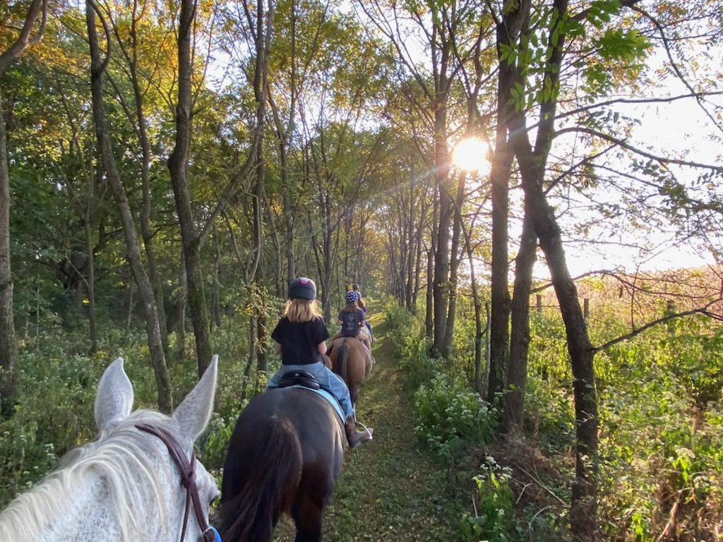 Spring Riding Single Day Fall Riding Lessons | Life Adventure Center
